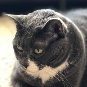 Meet your Posher, Adriana